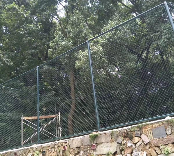 �w����(ch��ng)�o(h��)�ھW(w��ng)