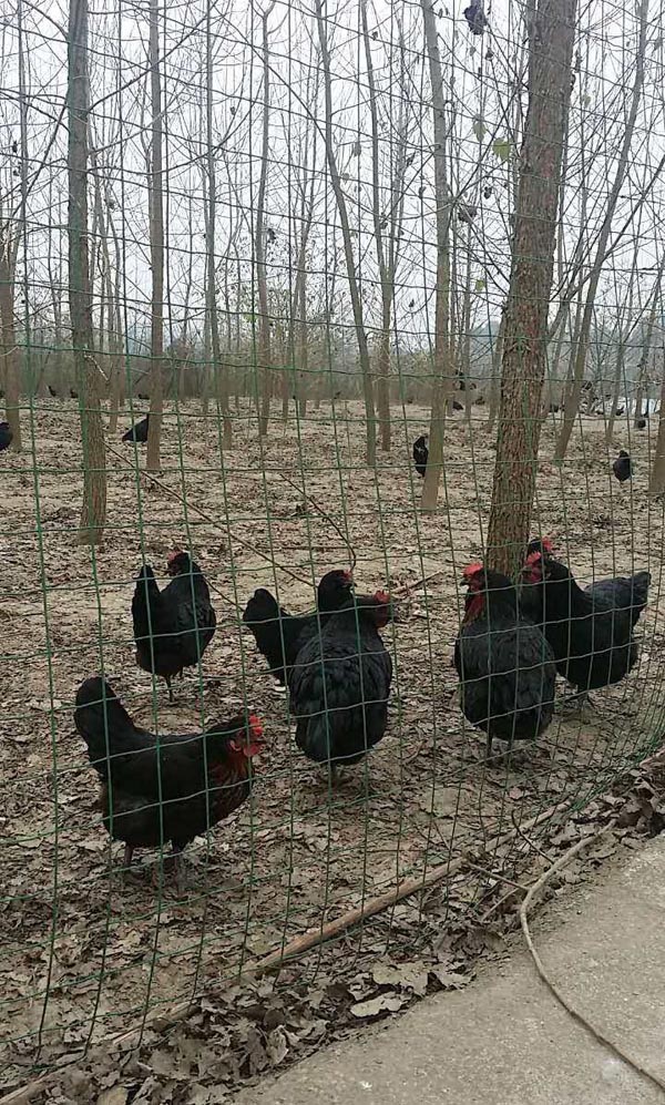 �Ͼ��o(h��)�ھW(w��ng)