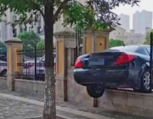 圍墻護欄 圍墻護欄