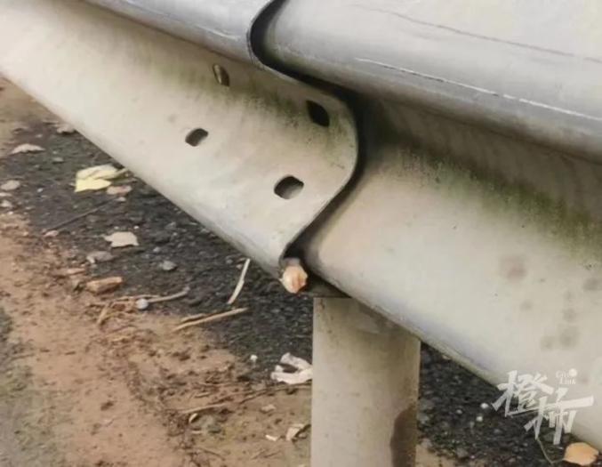 護欄網(wǎng)價格 護欄網(wǎng)價格