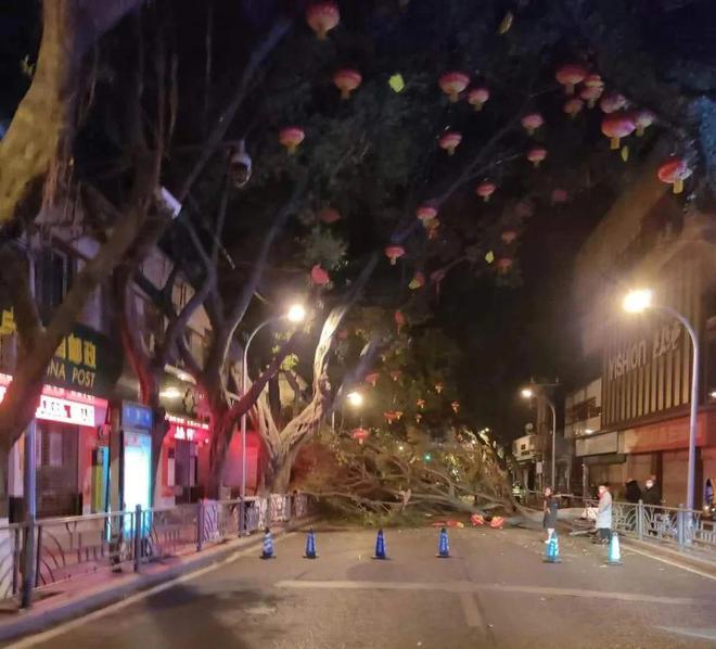 道路護欄網(wǎng)價格 道路護欄網(wǎng)價格