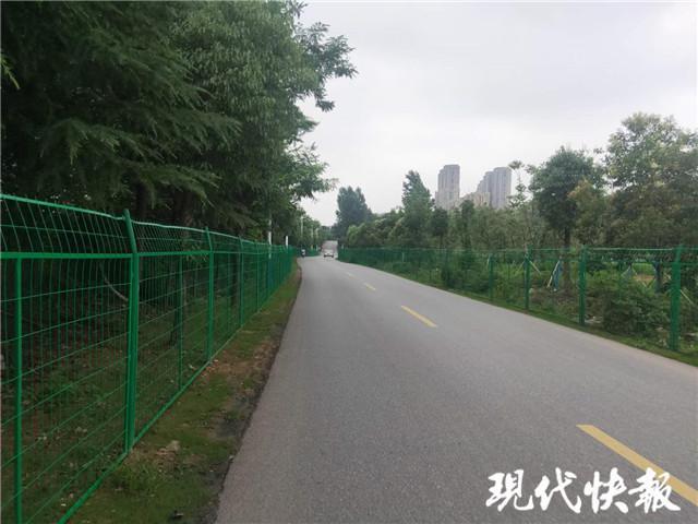 護(hù)欄網(wǎng)價格 護(hù)欄網(wǎng)價格