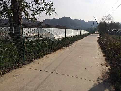 南京護(hù)欄網(wǎng)價格 南京護(hù)欄網(wǎng)價格