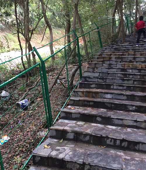 ����o(h��)�ھW(w��ng)